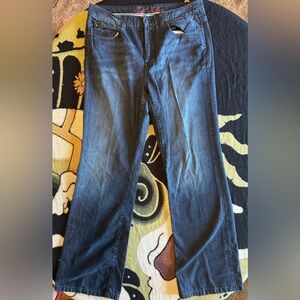 Bill Blass Women's Blue Jeans